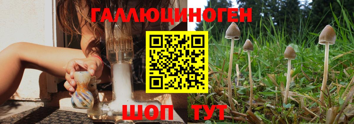 Псилоцибиновые грибы Magic Shrooms  Галлюциногенные грибы мухоморы  Туапсе  Вход с VPN 
